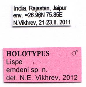emdeni_vikhrev_(lispe), Rajasthan (India)