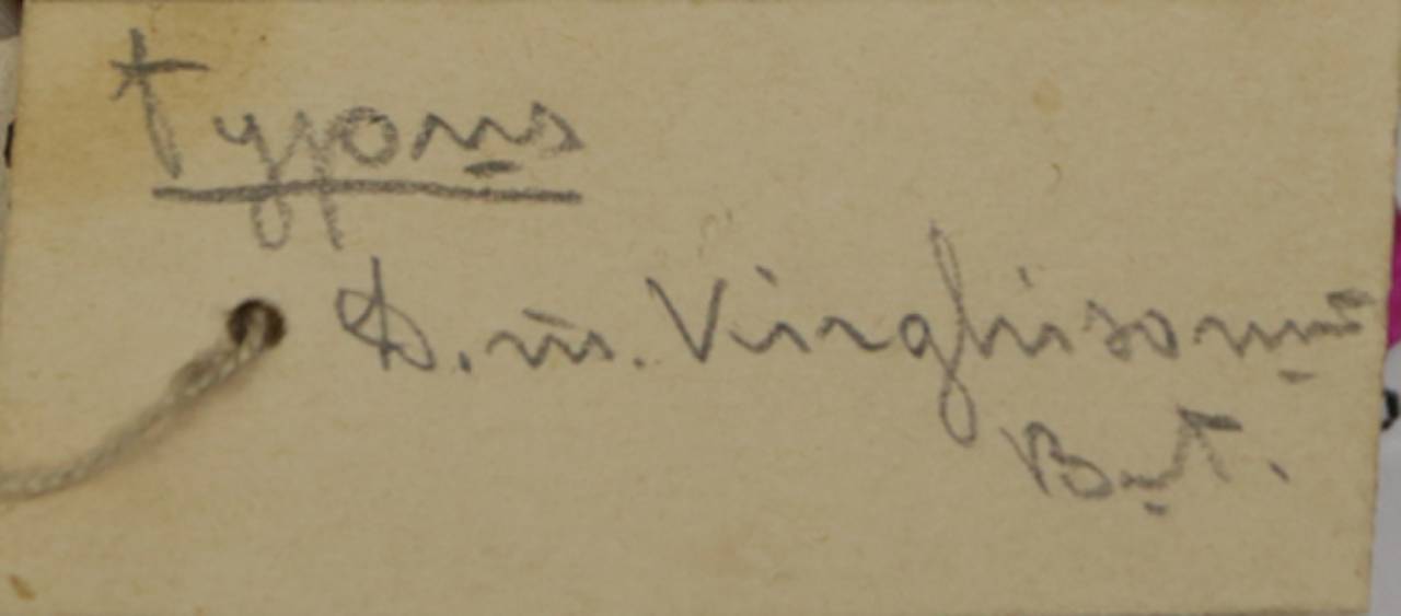 d_m_kirghizorum_lec1, East Kazakhstan Region (Kazakhstan)