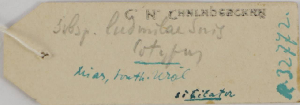 p_s_ludmilae_1parlec1, Chelyabinsk Oblast (Russia)