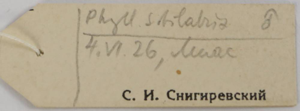 p_s_ludmilae_1parlec1, Chelyabinsk Oblast (Russia)