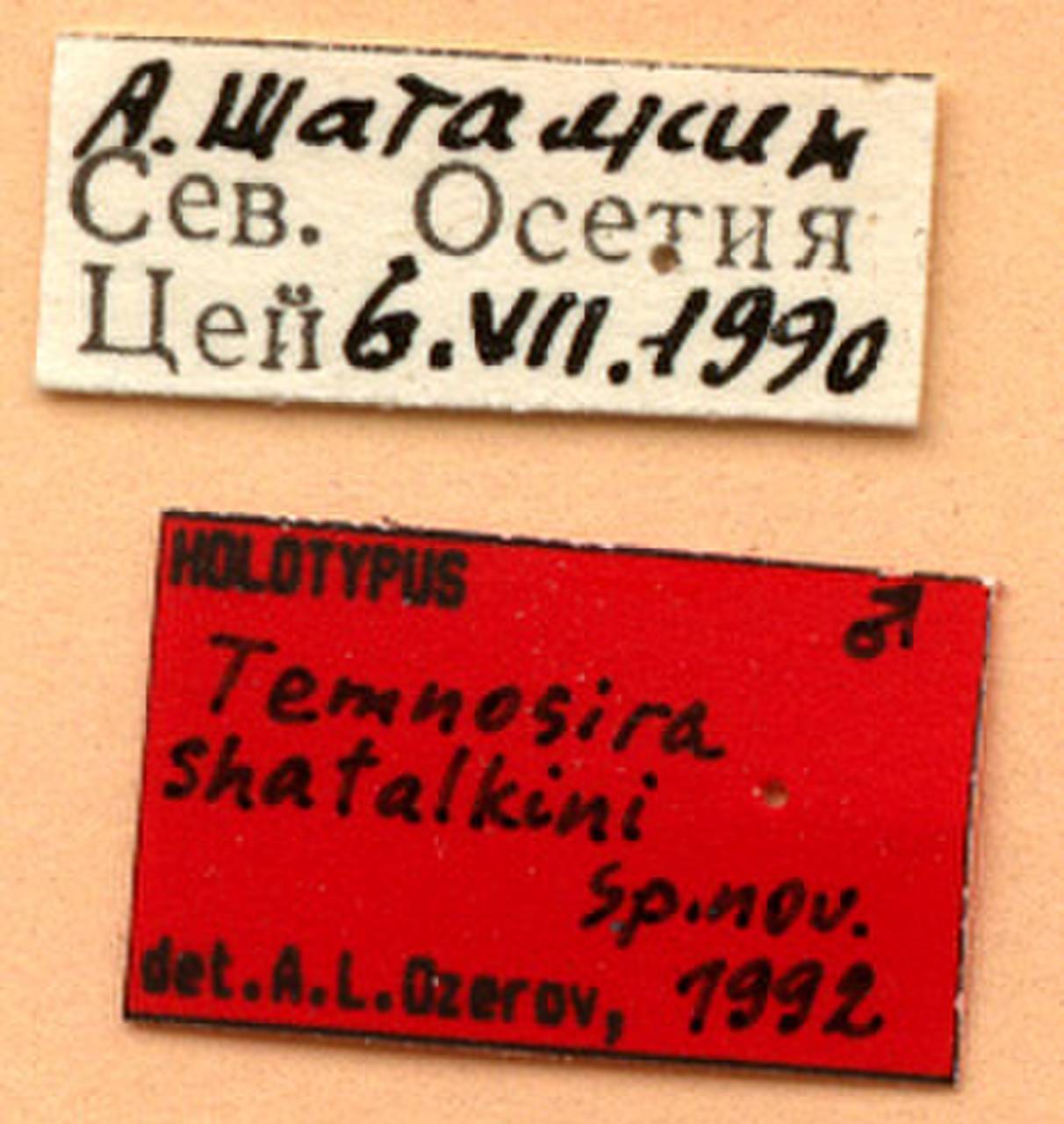 shatalkini_ozerov_(temnosira), North Ossetia-Alania (Russia)