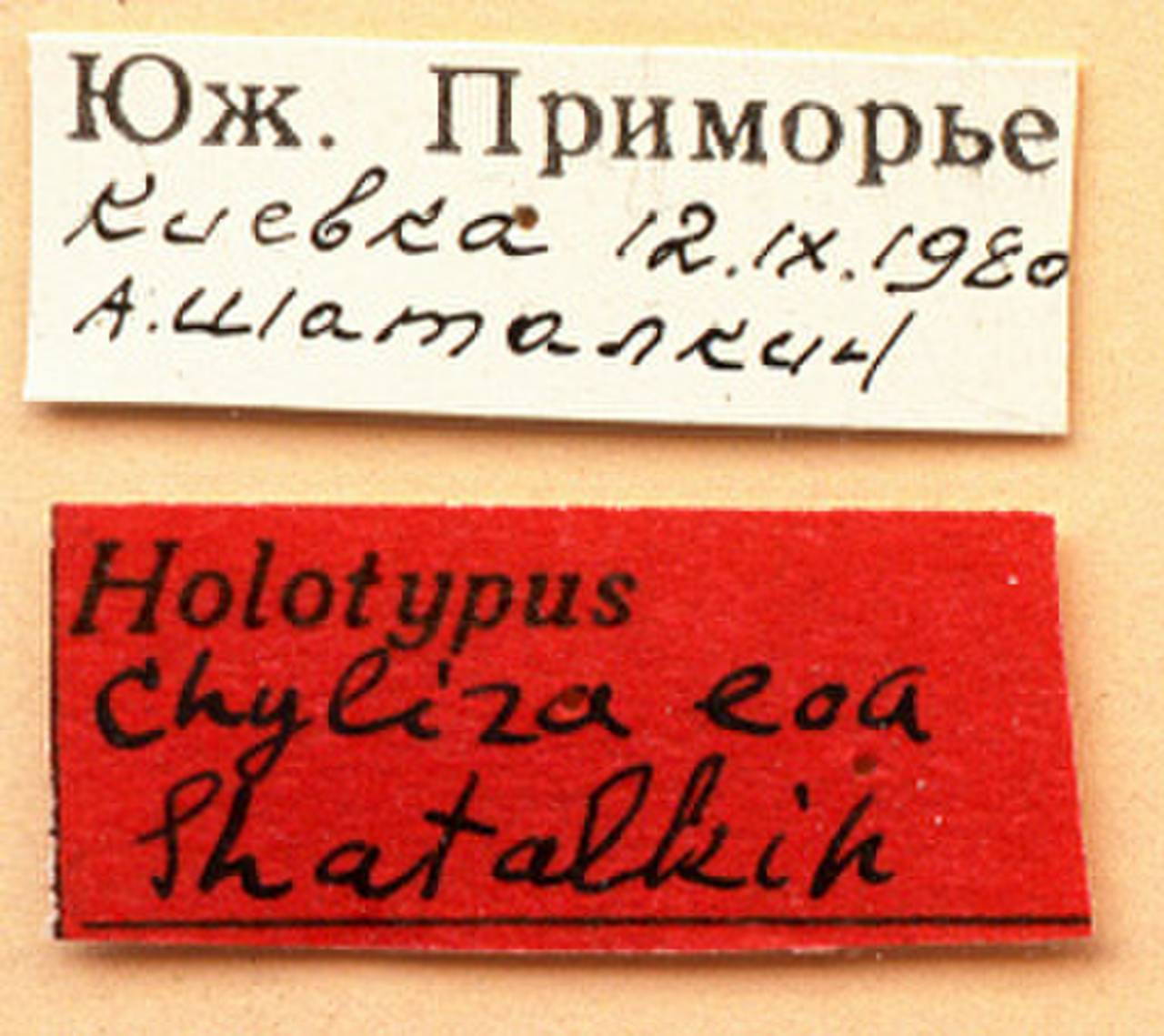eoa_shatalkin_(chyliza), Primorsky Krai (Russia)