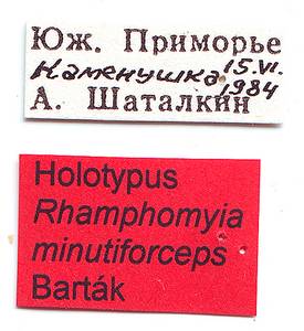 minutiforceps_bartak_(rhamphomyia), Амурская область (Россия)