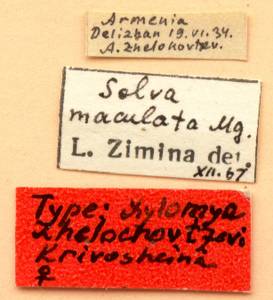 zhelochovtzevi_krivosheina-n_(xylomya), Сергиево-Посадский район, Московская область (Россия)